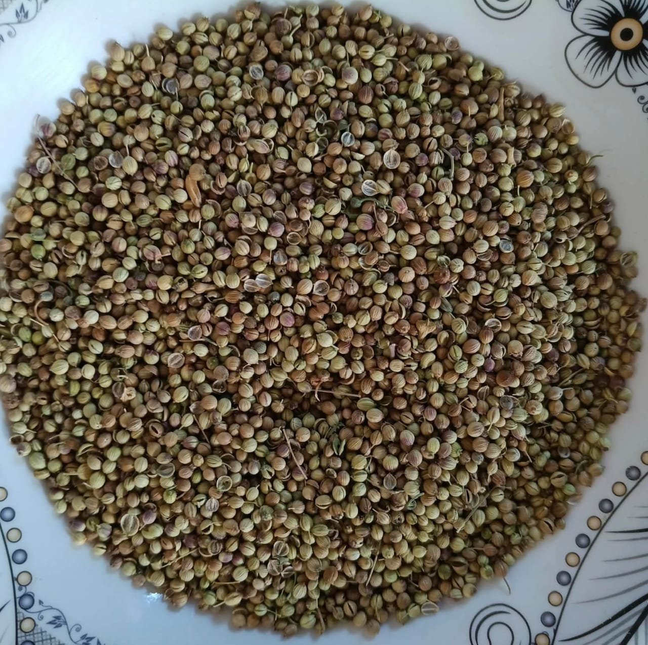 Split Chickpeas