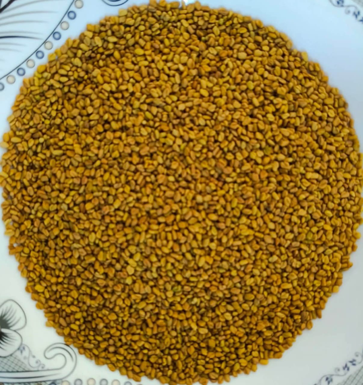 Fenugreek