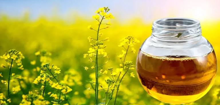 Mustard Oil